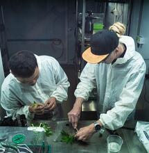 The Perfect Grow S2 E6 : l’environnement des plantes