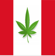Perù via libera alla coltivazione di Cannabis terapeutica