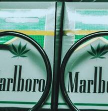Philip Morris