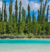 L’histoire du cannabis en Nouvelle Calédonie