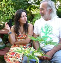 Interview de Wernard Bruining, pionnier du cannabis en Hollande