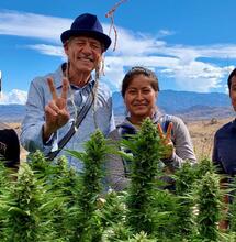 La nouvelle scène du cannabis au Mexique