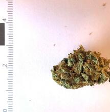 Doit-on parler de fleurs ou de fruits de cannabis ?