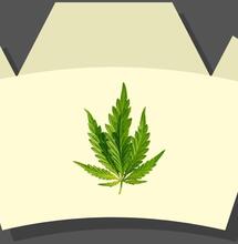 Pielęgniarstwo konopne odrębnym obszarem praktyki specjalistycznej