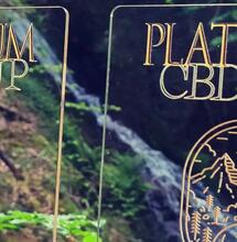 Résultats Platinum CBD Cup