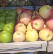 Les particularités du terpinolène 