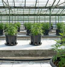 ¿Por qué usar invernaderos?