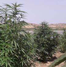 Carte postale du Maroc