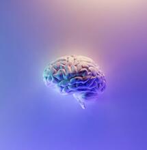 Potencial terapéutico del cannabibnol (CBN).