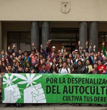 Reforma a Ley 20.000: ¿Fin de la protección al autocultivo de cannabis en Chile?