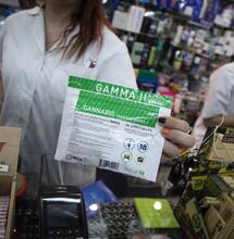 Prodej konopí v Uruguayi strmě roste díky nové odrůdě