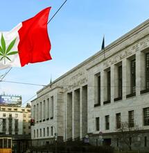 Przełomowy wyrok we Włoszech. Uprawa marihuany nie jest przestępstwem!