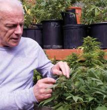 Příběh Cannabis Buers Club – začátek nové éry