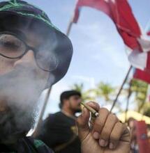 Comenzó curso de cannabis medicinal en Puerto Rico