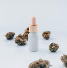 ¿Que hace el CBD en pacientes con epilepsia?