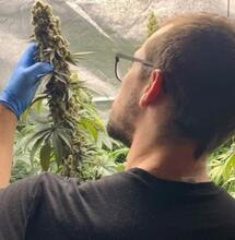 Sébastien Bouzats, cultivateur et consultant cannabique au Québec