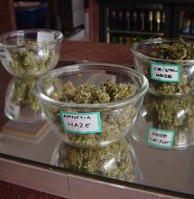 Realiseren coffeeshop is ‘een complex vraagstuk’
