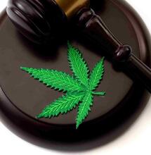 Rechters verbieden sluitingen coffeeshops