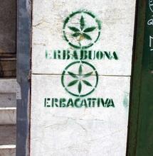 Referendum o dekriminalizaci marihuany v Itálii