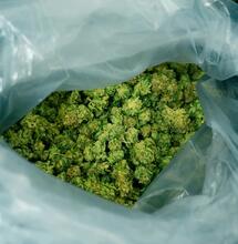 Reformar la política de drogas: el ejemplo de Portugal