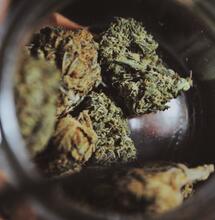 Regulovaný trh s konopím v Kanadě jen kvete