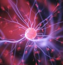 Research reveals the effects of cannabis on the brain.