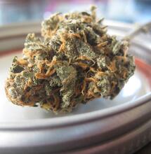 Rezeptfreies Cannabis aus der Apotheke?