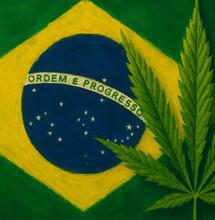 Rząd Brazylii żąda od Meta przywrócenia usuniętych kont o marihuanie