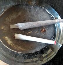 Spliff vs Joint