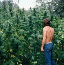 Sam The Skunkman : une légende du cannabis nous a quittés