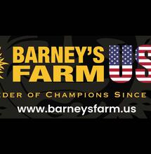 Barney's Farm et Doja Exclusive s'associent pour développer des génétiques de cannabis uniques