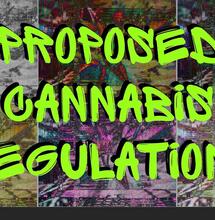 South Africa’s New Cannabis Regulations: Why Your Input Matters