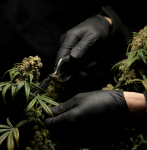 Kief/Dry Sift-Manual, Machine, Dry Ice