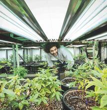 Andy Frasco & The U.N.