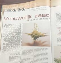 VAN NEDERWIET NAAR AUTOFLOWERS