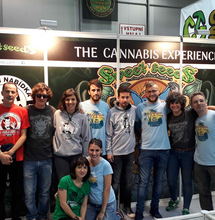 Interview met Sweet Seeds