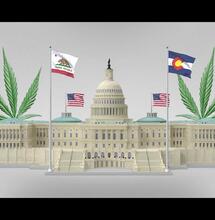 EE.UU. hacia una Ley Federal para Legislar el Cannabis con Colorado y California a la Vanguardia