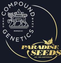 Paradise Seeds in partnership con Compound Genetics: esclusiva europea