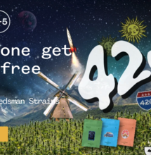 5 szczepów o najwyższym stężeniu THC od Seedsman