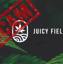 Der Fall Juicy Fields