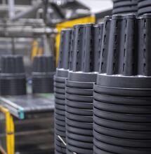 Pasquini & Bini, wo deine Wurzeln sicher sind