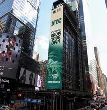 Royal Queen Seeds Takeover Times Square Billboard for 4/20