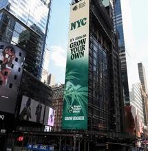 Royal Queen Seeds Festeggia il 4/20 con Mike Tyson a Times Square