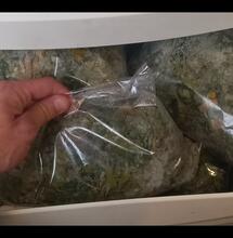 10 Top Tips for Making Water Hash