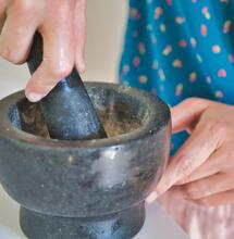 Are Cannabis Roots Useful?