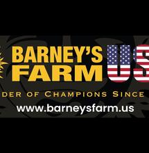 Barney's Farm arbeitet mit Backpackboyz an einem bahnbrechenden Cannabis-Genetik-Projekt