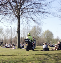 Al deze rapporten zijn van twijfelachtige kwaliteit