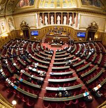 Une proposition de loi pour réguler le marché du CBD
