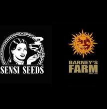 Sensi Seeds i Barney's Farm łączą siły!