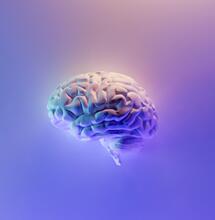 CBD a Alzheimerova nemoc